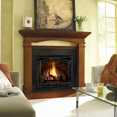 6000 C Series Direct Vent Gas Fireplace