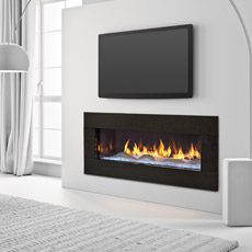 Primo Series - Direct Vent Gas Fireplace