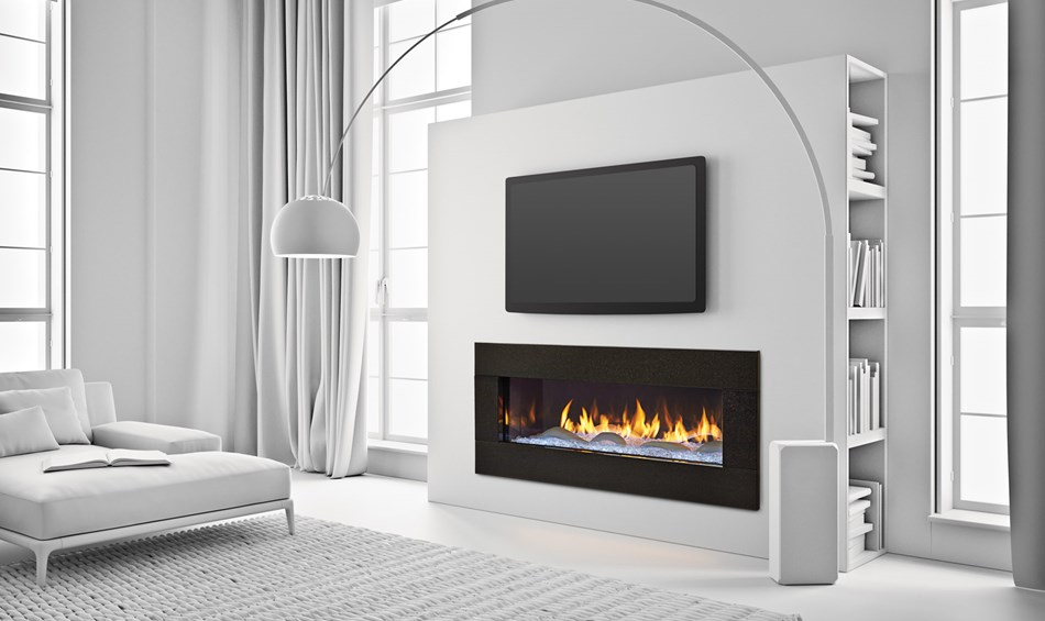 Primo Series Direct Vent Gas Fireplace Primo By Heat Glo